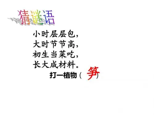 笋芽儿ppt课件