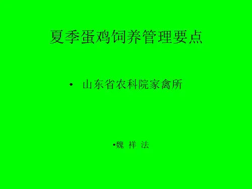 夏季蛋鸡饲养管理要点