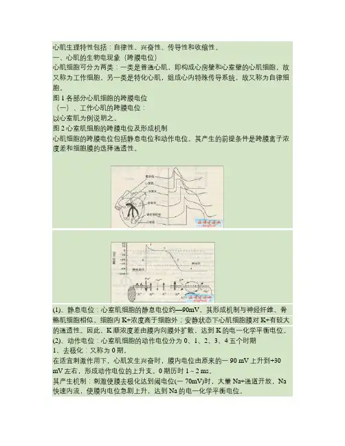心肌生理特性包括.