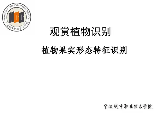 植物果实形态特征识别与判断.