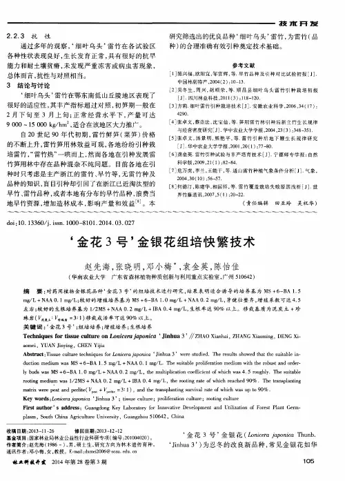 ‘金花3号’金银花组培快繁技术