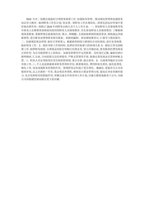 2011年财务出纳个人工作计划,工作总结