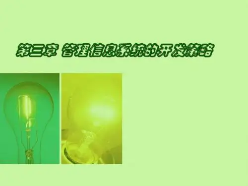 管理系统中计算机的应用课件第三章 管理信息系统的开发策略-PPT课件