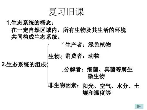生态系统的结构和功能--北师大版