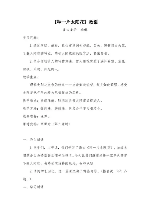 种一片太阳花 -修改