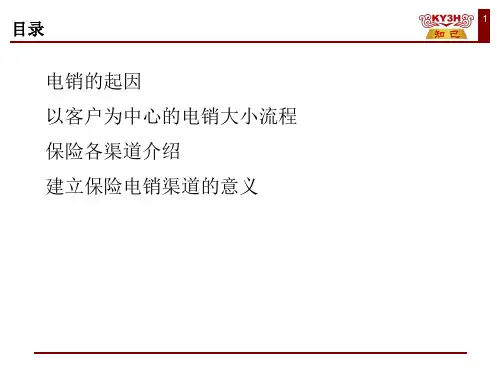 建立电销渠道的意义-电销认知-23页精选文档