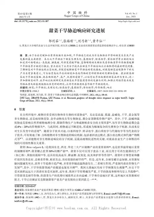 甜菜干旱胁迫响应研究进展