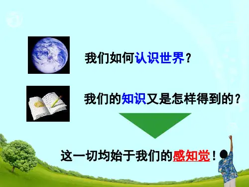 第三章_感知觉