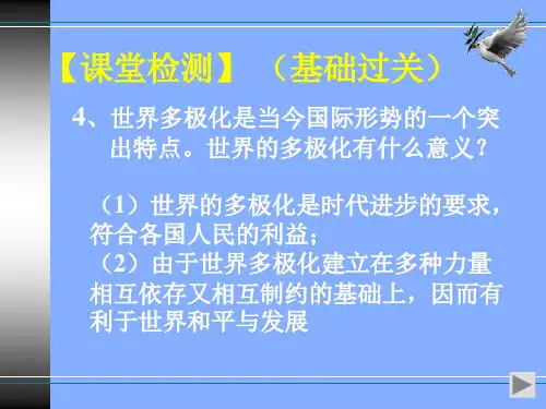 我国独立自主的外交政策