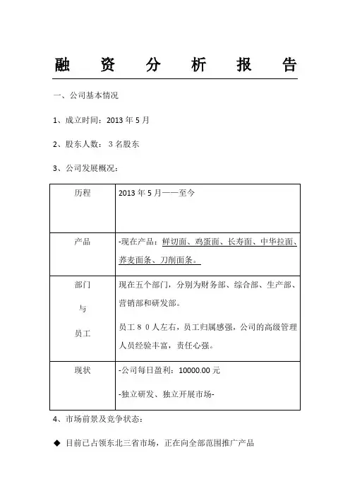 融资分析分析报告