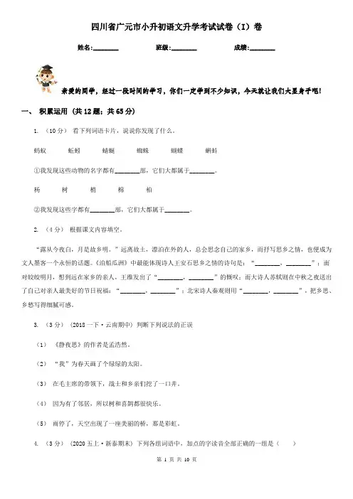 四川省广元市小升初语文升学考试试卷(I)卷