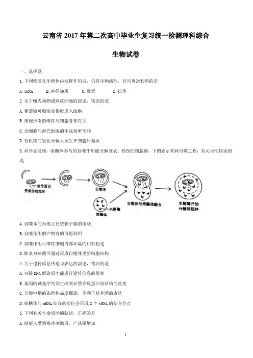 云南省2017届高三第二次高中毕业生统一检测理科综合生物试题含答案