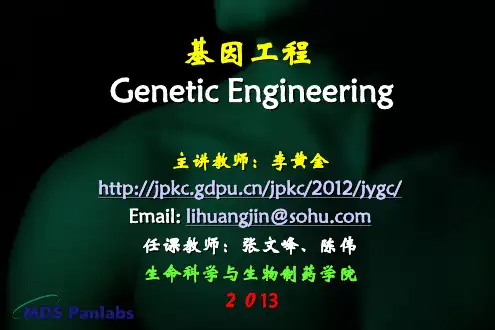 大肠杆菌基因工程