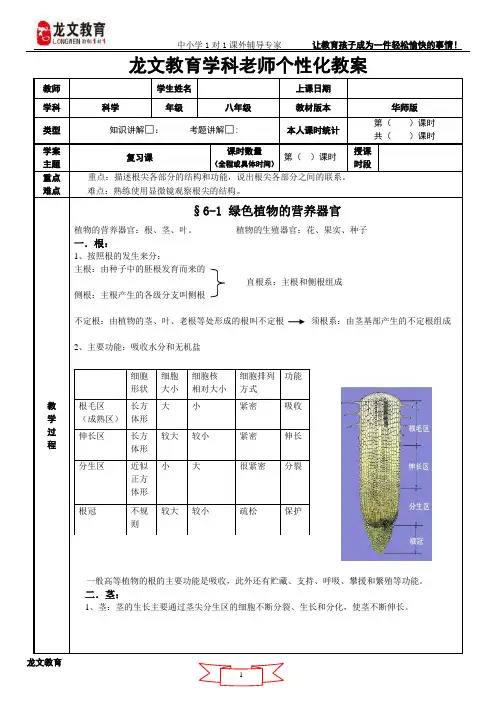 绿色植物的营养器官