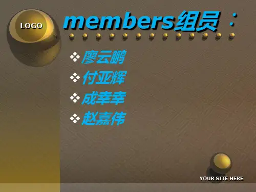 莱德物流公司简介共24页文档