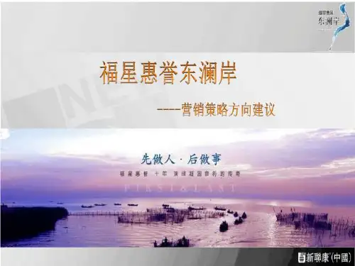新联康武汉福星惠誉东澜岸大盘项目营销策略建议
