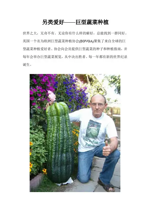 另类爱好——巨型蔬菜种植