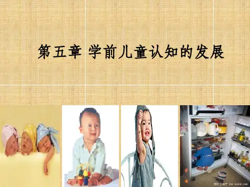 学前儿童认知的发展
