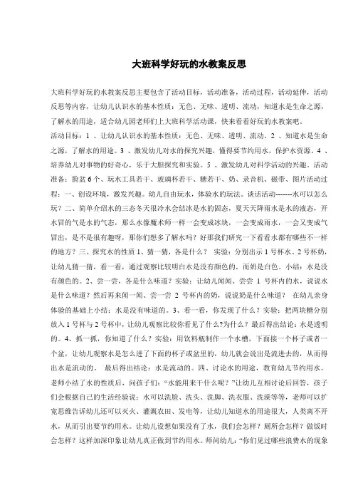 大班科学好玩的水教案反思 