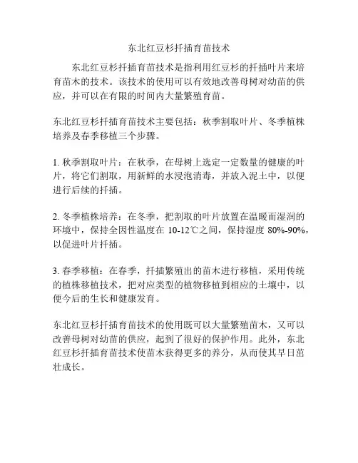 东北红豆杉扦插育苗技术
