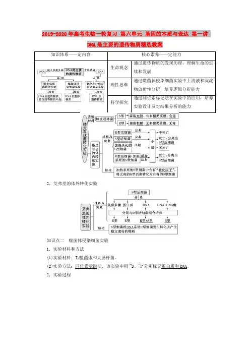 2019-2020年高考生物一轮复习 第六单元 基因的本质与表达 第一讲 DNA是主要的遗传物质精选教案