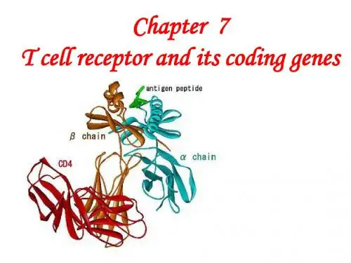 chapter 7 T cell receptor