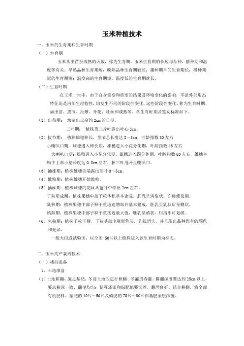 玉米种植技术