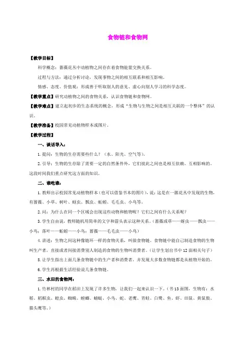 五年级科学上册 食物链和食物网教案 教科版 (2)