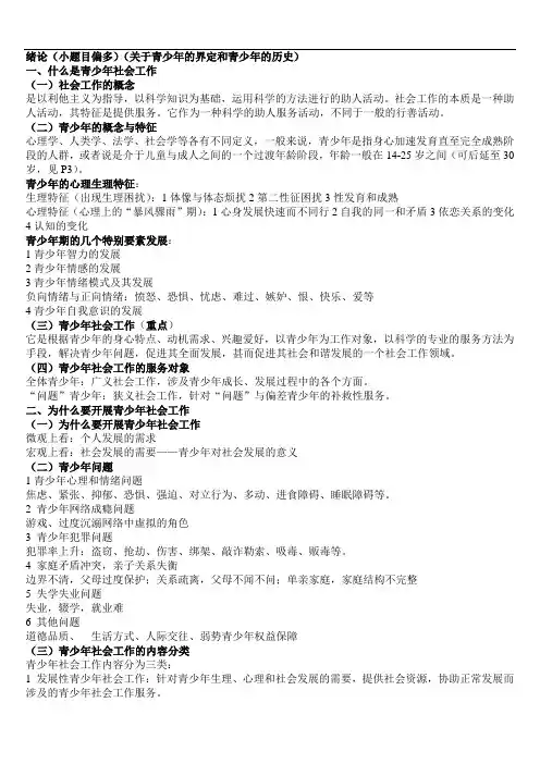 青少年社会工作讲义综合