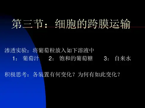 苏教版第三章3细胞跨膜运输