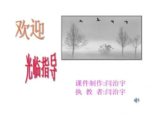 珍珠鸟