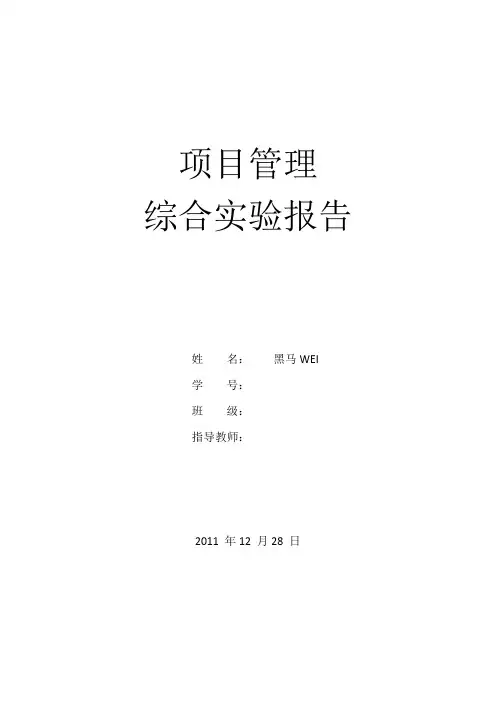 项目管理综合实验报告