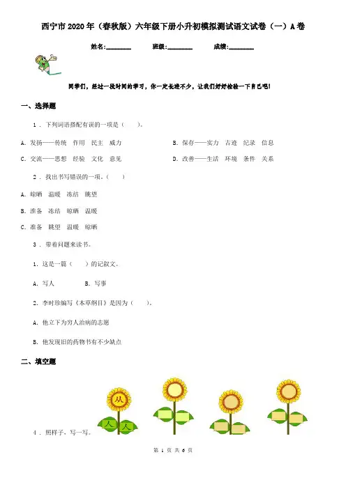 西宁市2020年(春秋版)六年级下册小升初模拟测试语文试卷(一)A卷