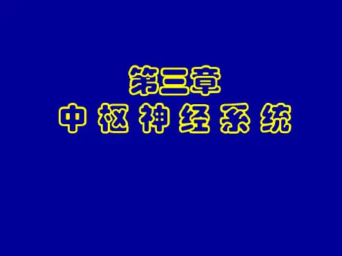 中枢神经系统 (3)