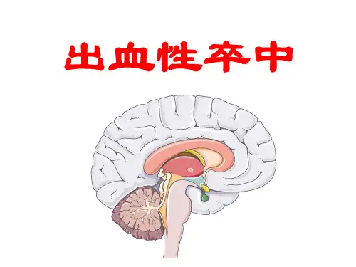 出血性卒中 PPT课件
