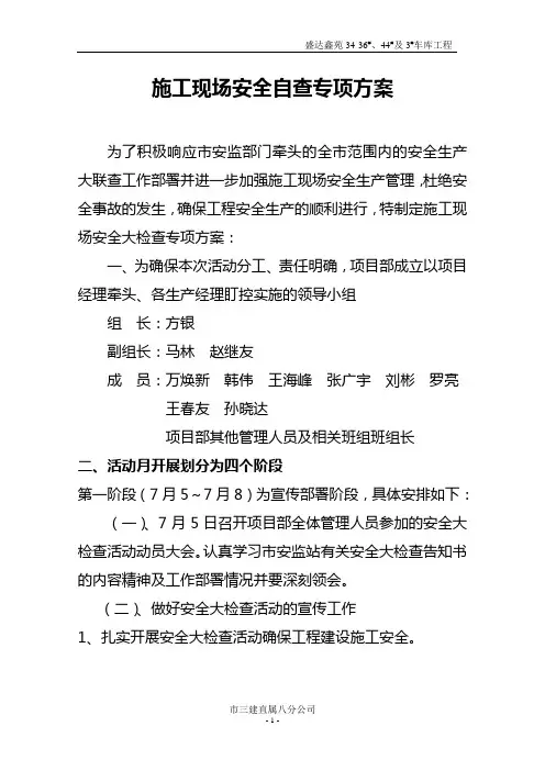项目部安全生产大检查专项方案