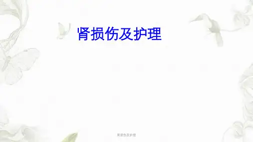 肾损伤及护理PPT课件
