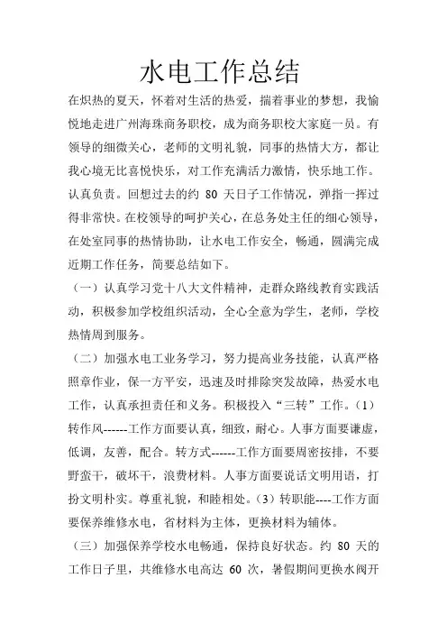 水电工作总结