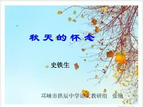 2.秋天的怀念(2)