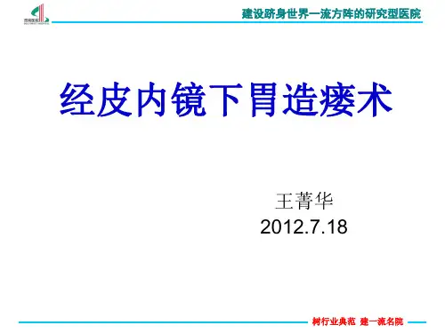 经皮内镜下胃造瘘术