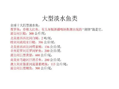 世界十大淡水鱼共20页