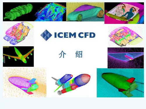 ICEM 基础学习