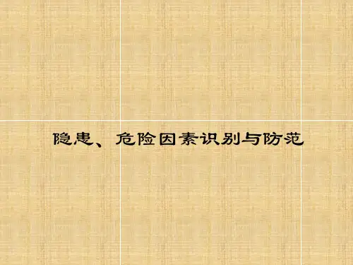 隐患、危险因素识别与防范精编版