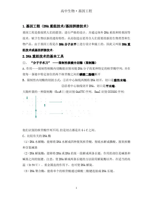 高中生物专题一基因工程详细知识点人教版选修3