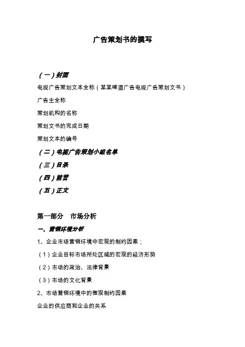 广告策划书的撰写