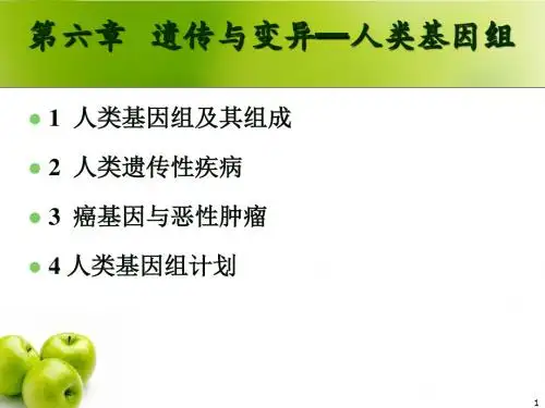 第6章遗传与变异-人类基因组-PPT文档资料103页