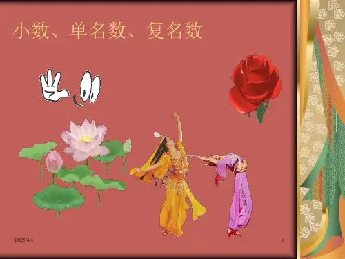 小数和复名数的改