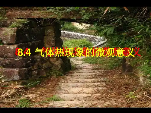 高中物理选修3-3课件：8.4 气体热现象的微观意义 (共11张PPT)