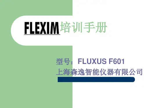 FLEXIM超声波流量计安装培训手册