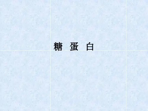 糖蛋白